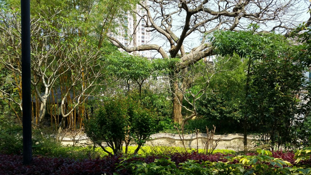 Trees in the Luis de Camoes Garden