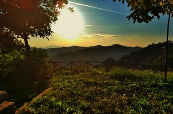 20141005_174033_1