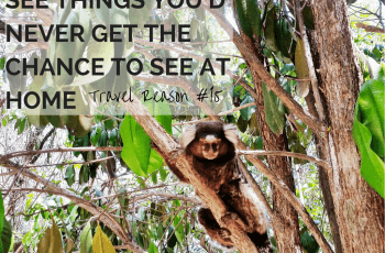 REASON TO TRAVEL MORE -SEE THINGS YOU’D NEVER GET THE CHANCE TO
