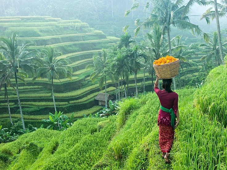 Ubud, Bali for digital nomads