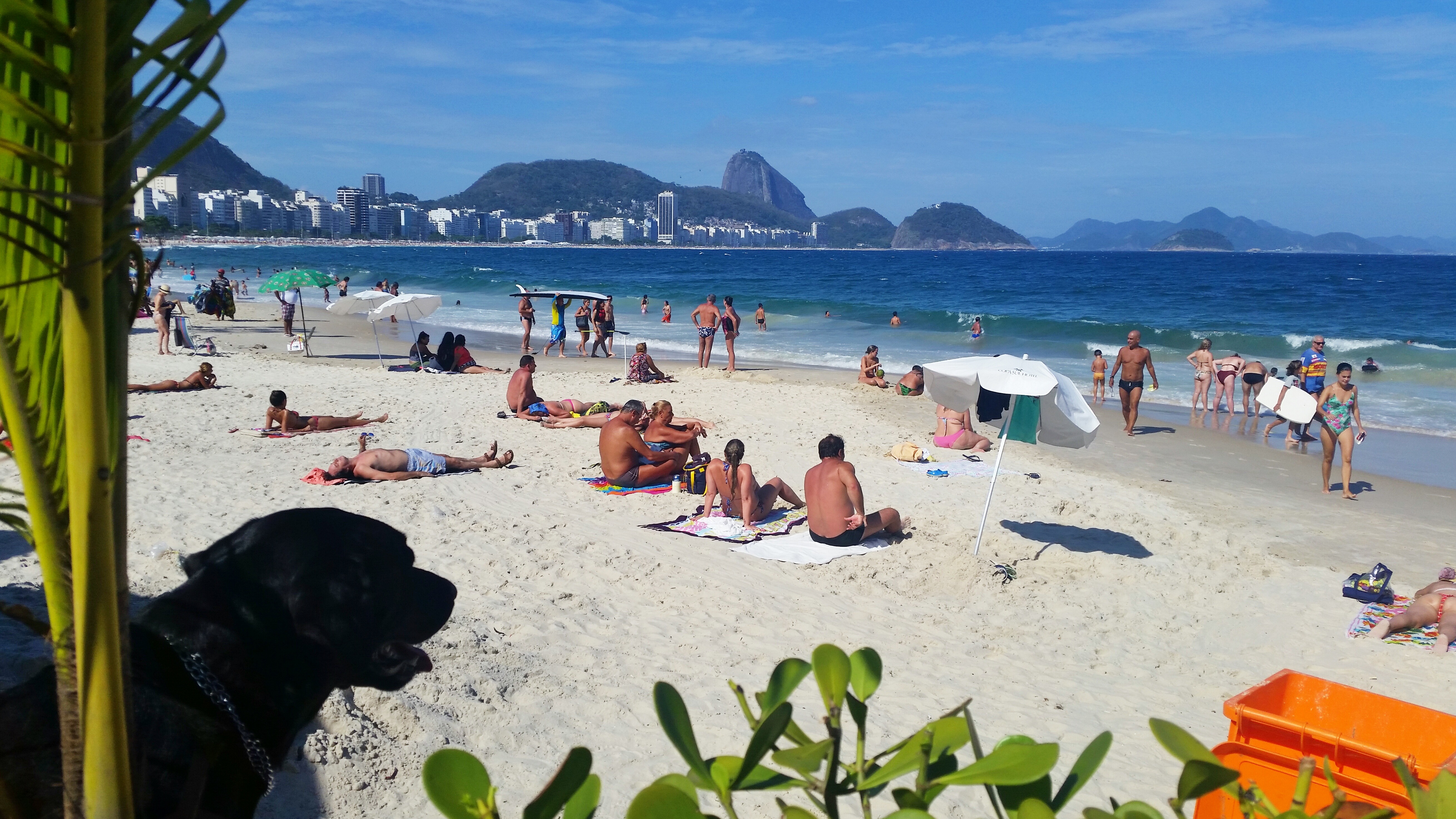 View of mountains in Rio de Janeiro from Copacabana Beach