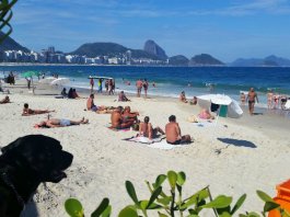 21 Things You Need To Know Before You Visit Brazil | StoryV Travel & Lifestyle