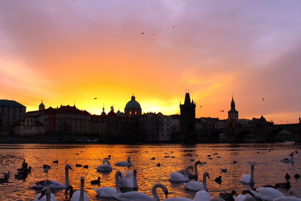 travel luxuriously on a budget - Interview with Travel Alphas - Prague, Czech Republic