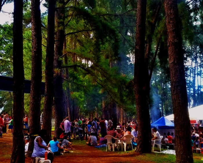 Picnic in the park, Brasilia, Brazil