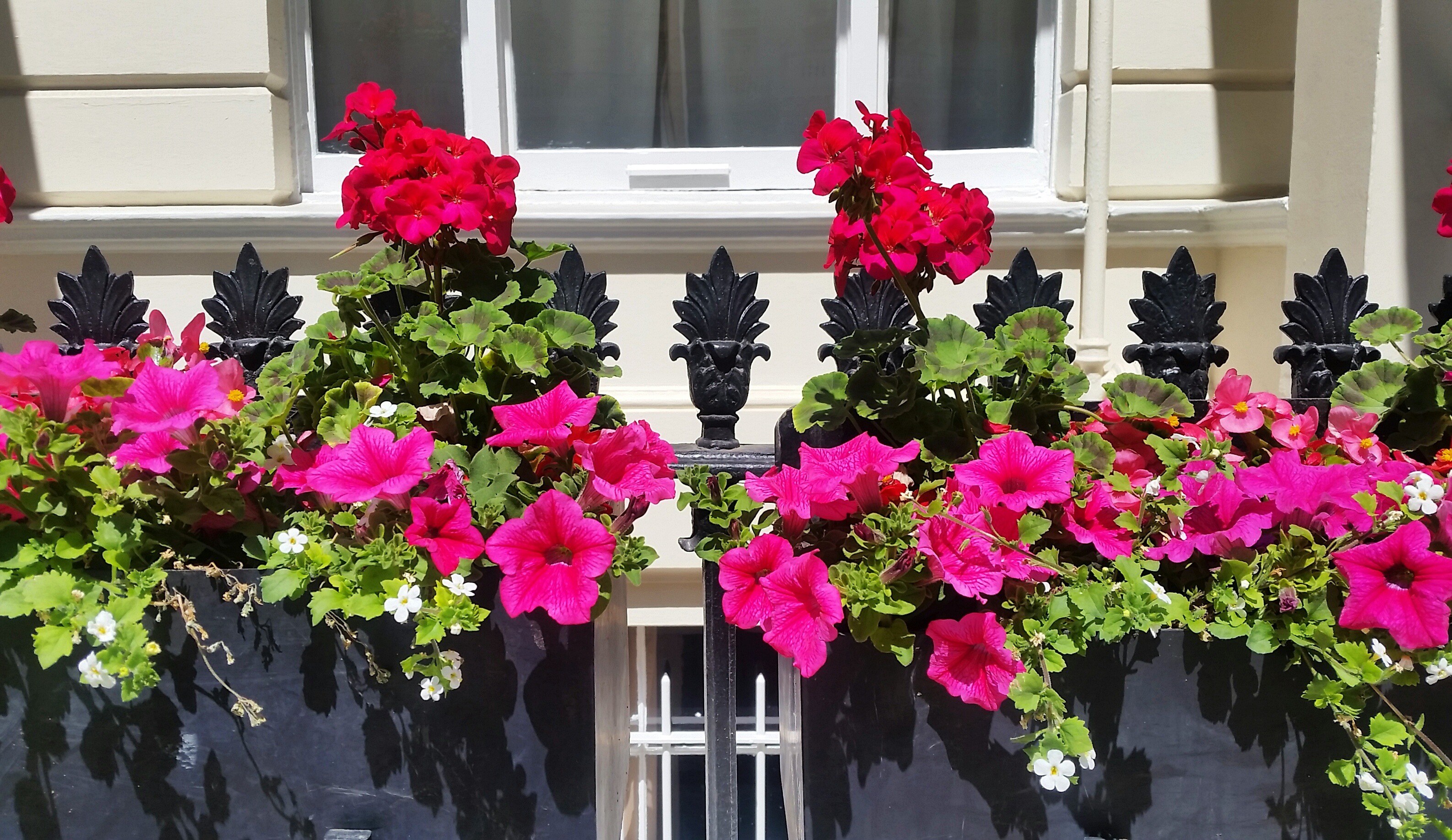 Astor Hyde Park Review - Floral Arrangement Kensington