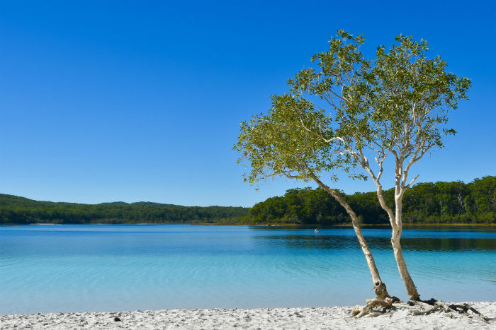 Lake McKenzie, Fraser Island | Where To Rest Your Body And Soul In Queensland, Australia | Australia Travel Guide | StoryV Travel + Lifestyle