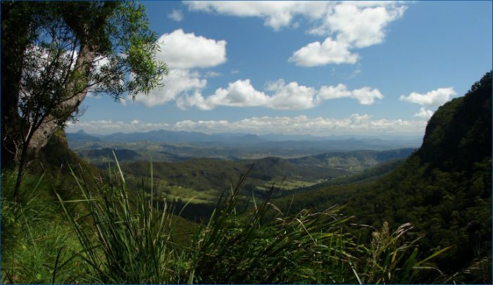 Lamington National Park| Where To Rest Your Body And Soul In Queensland, Australia | Australia Travel Guide | StoryV Travel + Lifestyle