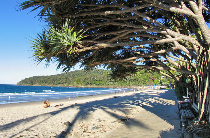 Noosa National Park| Where To Rest Your Body And Soul In Queensland, Australia | Australia Travel Guide | StoryV Travel + Lifestyle
