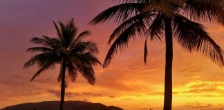 If This Sunset Isn't Enough Motivation To Visit Brazil, There's Something Wrong | StoryV Travel & Lifestyle| StoryV Travel & Lifestyle