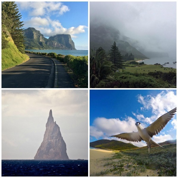 8 Of Australias Most Instagram Worthy Landscapes: Lord Howe Island