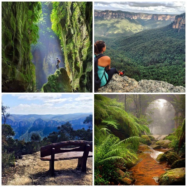 8 Of Australias Most Instagram Worthy Landscapes: Blue Mountains