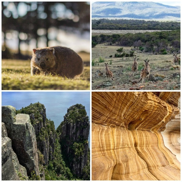 8 Of Australias Most Instagram Worthy Landscapes: Maria Island