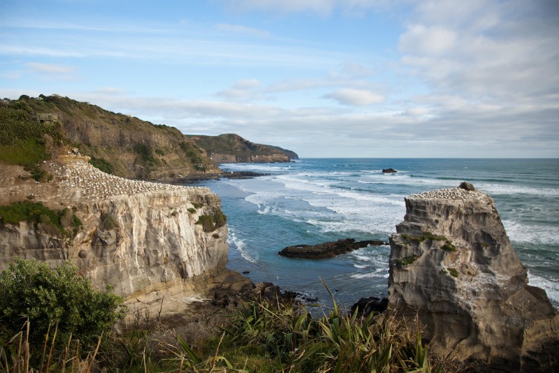 Amazing secret beaches - Muriwai Beach