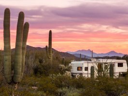 How to Become a Cool Caravanner: Total Caravan Restoration Inspiration How to Join the Cool Caravan Club: Caravan Restoration Inspiration! | StoryV Travel & Lifestyle