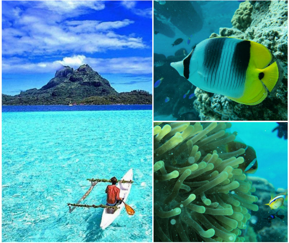 Snorkelling Safari in Tahiti... Planning a relaxing island getaway but not sure where to go? Booking an island vacation can often end up a difficult task when you're left wondering, will there be anything to do except lay on a beach? That's when you might want to consider Tahiti. Other than looking pretty there are a whole range of activities to do, whether you're an adrenalin-junkie or someone who prefers an easy-going holiday. Here's what to do in Tahiti except chill...