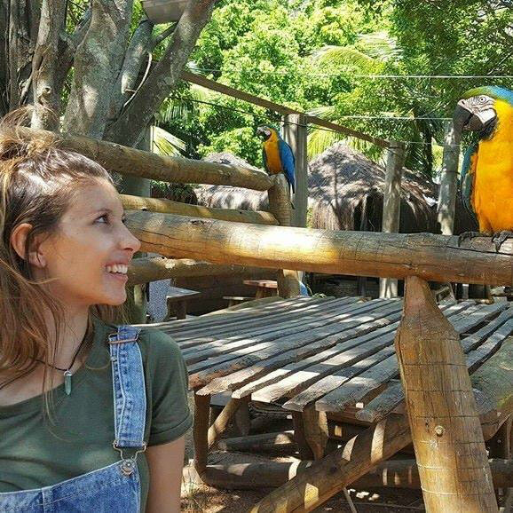 Rio de Janeiro, Brazil | How I Stumbled Upon A Life Of Full Time Travel