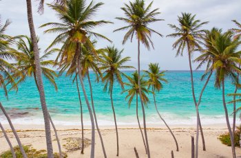 beach-70957