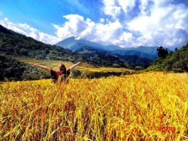 33 Countries: MBA Student Shares How To Budget For World Travel Bhutan | 33 Countries: MBA Student Shares How To Budget For World Travel