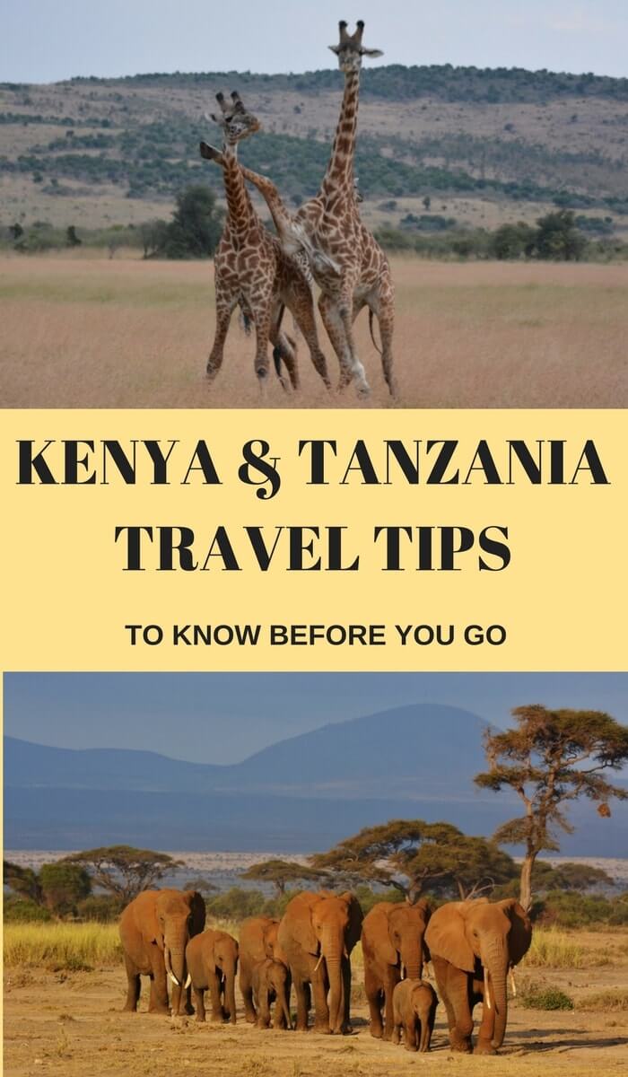 Are you planning a trip to Kenya and Tanzania and looking for tips and information? In this post we interview Romy who shares her best Kenya and Tanzania travel tips. Click through to read now