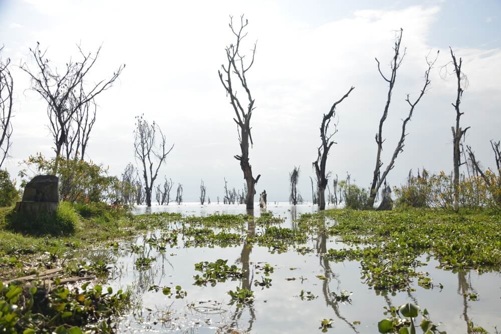 lake Naivasha - Kenya and Tanzania Travel Tips You Need To Know Before Visiting