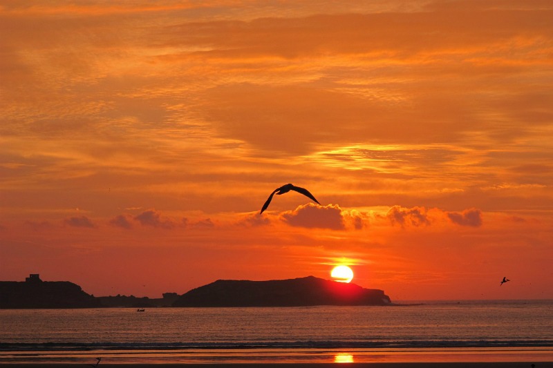 Sunset in Essaouira, Morocco | Quick Morocco Travel Tips