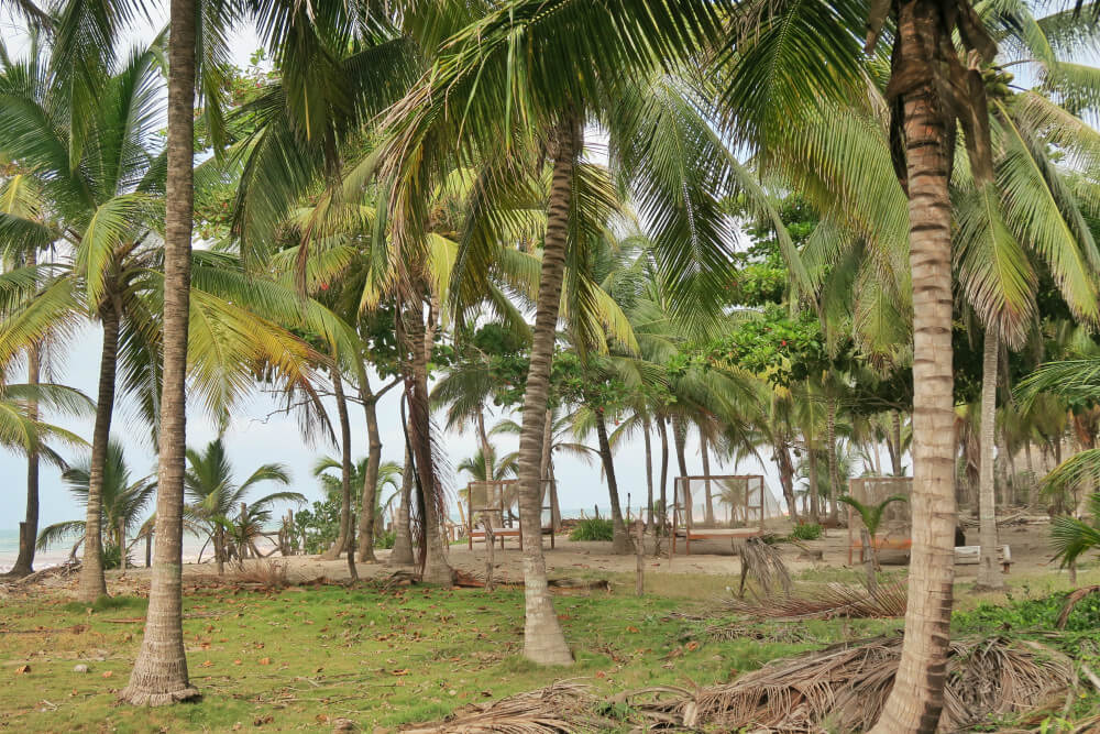 Beachside at Palomino Colombia | A Private Oasis: Sleep In The Clouds At TRIBE Guesthouse Palomino, Colombia