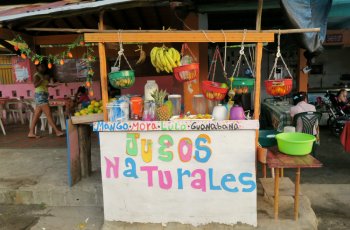palomino-colombia-13