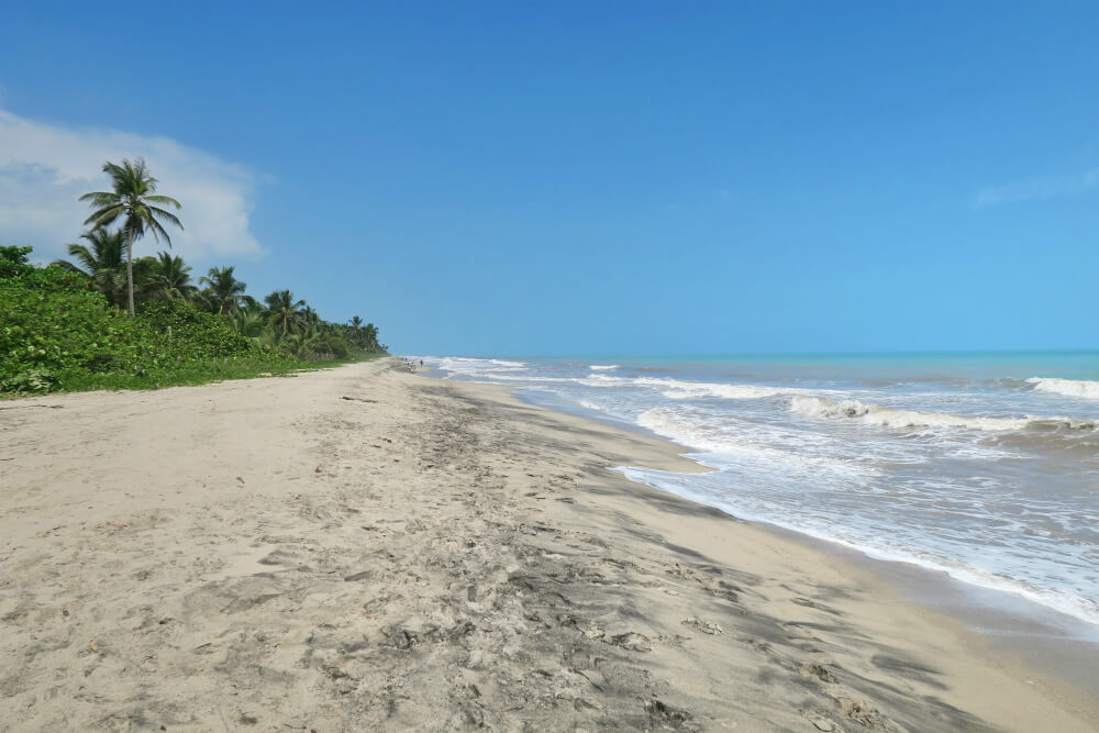 The beach in Palomino Colombia