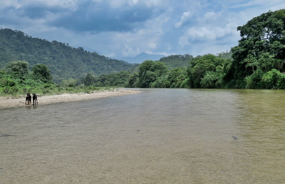 Sierra Nevada de Santa Marta in the distance from Rio Palomino