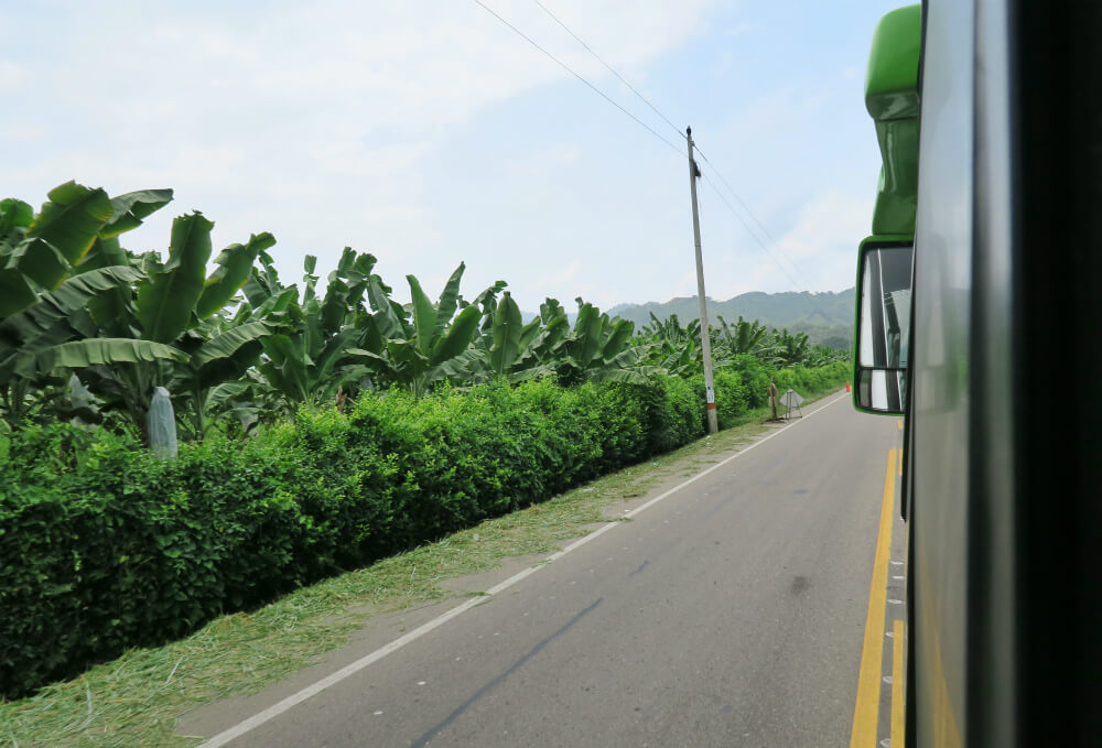 Bus from Santa Marta to Palomino Colombia