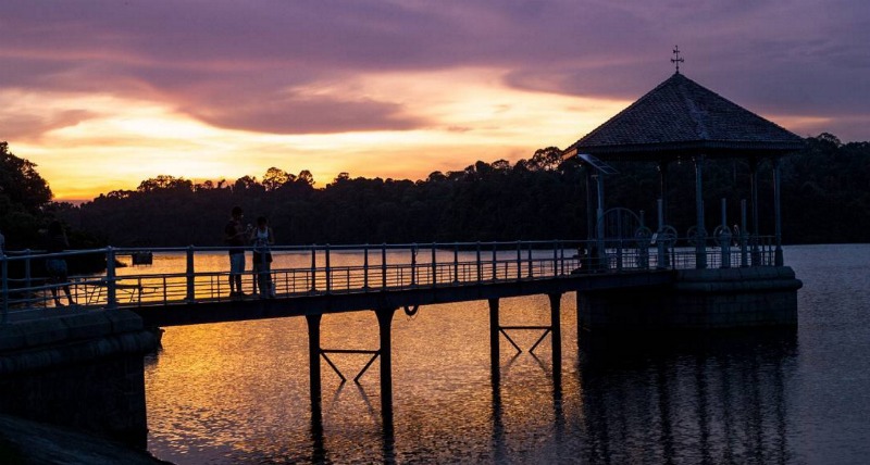 Sunset at Macritchie | Singapore Travel Tips From A Local's Point Of View