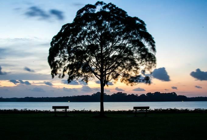 Sunset at Upper Peirce Reservoir | Singapore Travel Tips From A Local's Point Of View