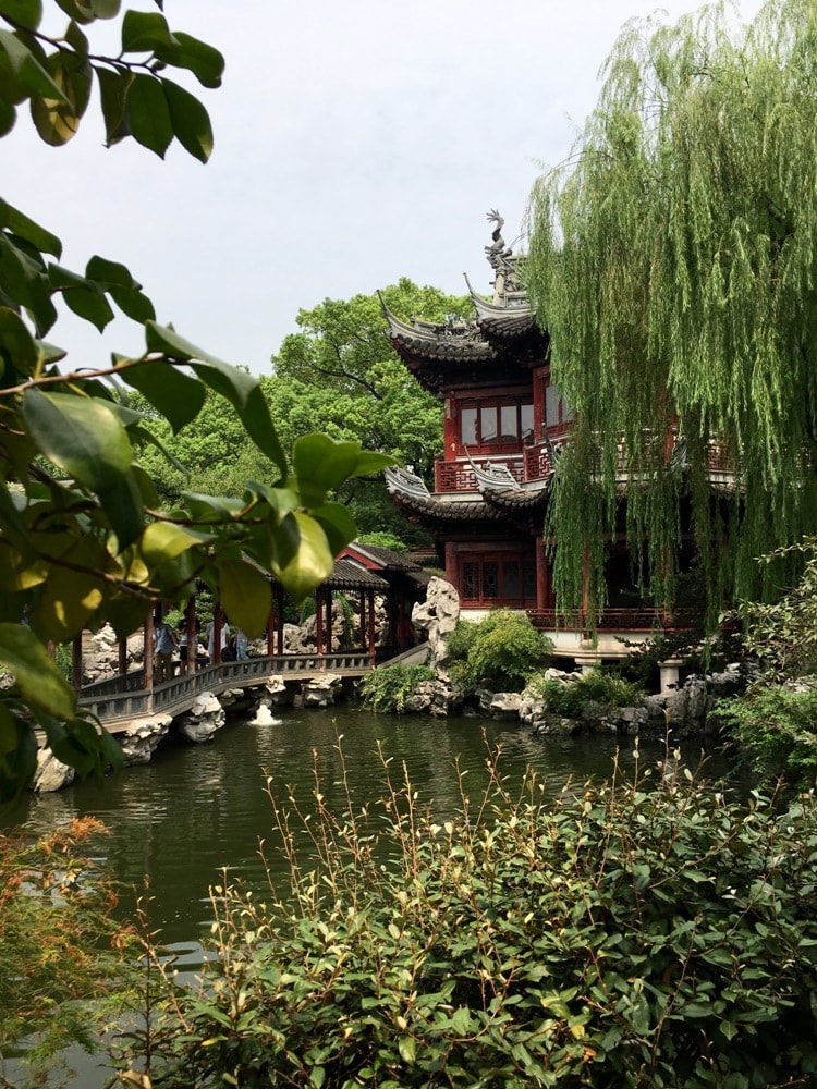 Chinese garden old Shanghai- Essential China Travel Tips You Need To Know Before Visiting