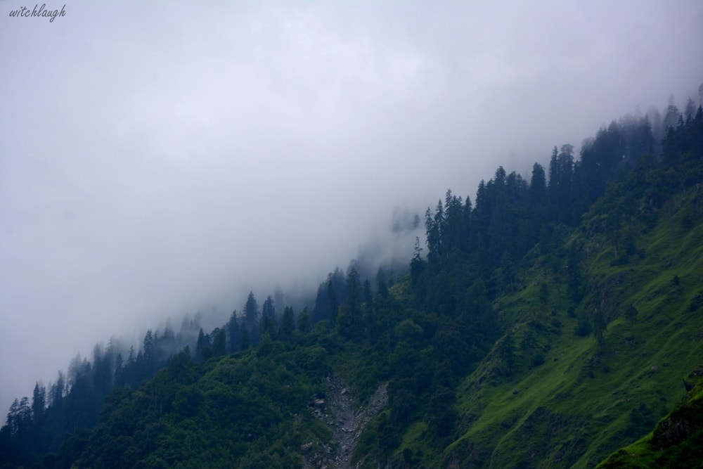 Mountain fog in Kalpa- Inside India: Locals' Mesmerising Himachal Pradesh Travel Tips And Insights