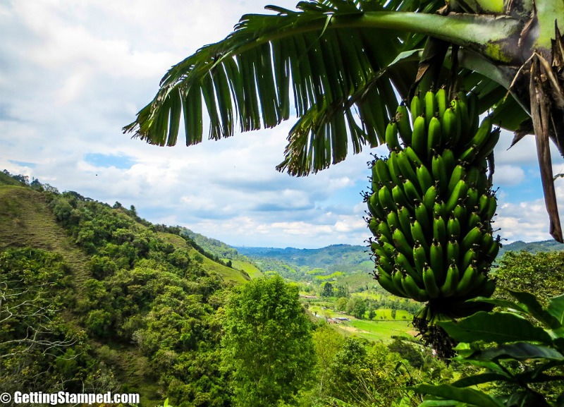 Coffee farm in Salento | Colombia Travel Tips: 6 Travelers Share Top Insights And Advice