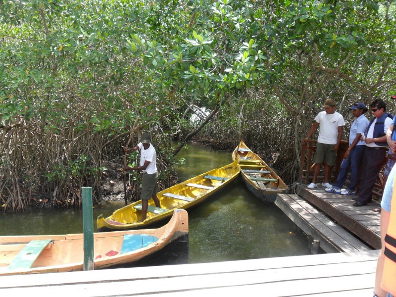 Cartagena Mangroves | Colombia Travel Tips: 6 Travelers Share Top Insights And Advice