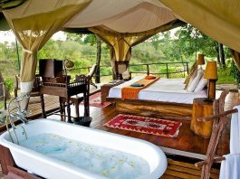 Have you ever thought about glamping, aka. glamorous camping in Africa? Imagine sleeping in the wild, surrounded by elephants, zebras and giraffes, except doing it in total luxury... Glamping in Africa will be the cherry on top of your already awe-inspiring safari experience. If luxury camping intrigues you, read through our list of 10 stunning African tented camps to get inspired and start planning your own glamping trip to Africa. Click through to read now...