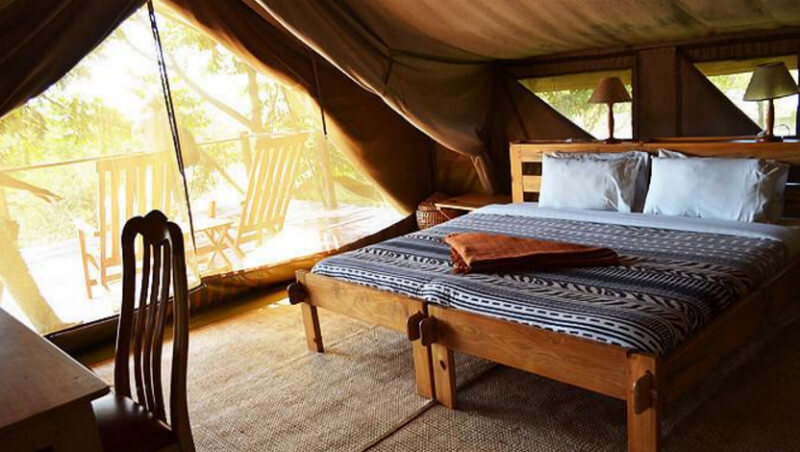 Ngamba Island Chimpanzee Sanctuary | Glamping in Africa: 10 Luxury Tents You Won't Want To Leave
