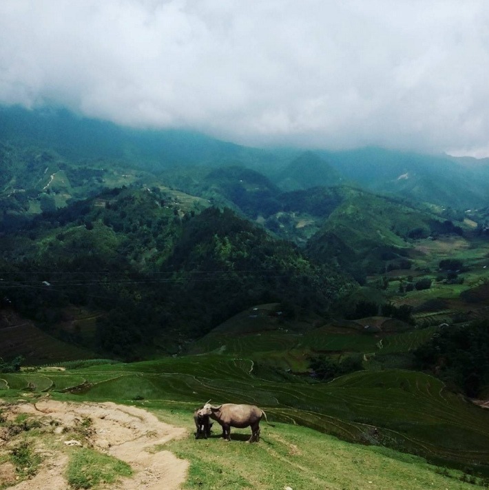 View from the mountains in Sapa | Essential Vietnam Travel Tips You Need To Know Before Visiting