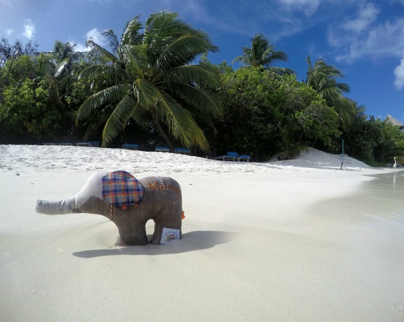 ARCHEfant in paradise | These Inspiring Traveling Elephants Support Children In Intensive Care