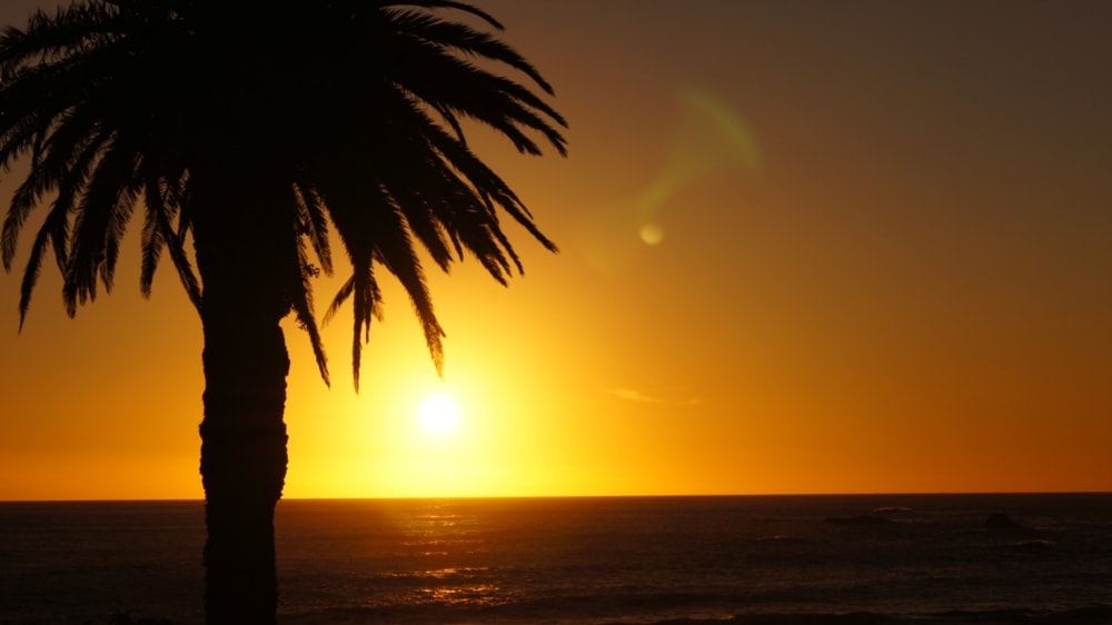 Southern Atlantic sunset - Essential South Africa Travel Tips You Need To Know Before Visiting 