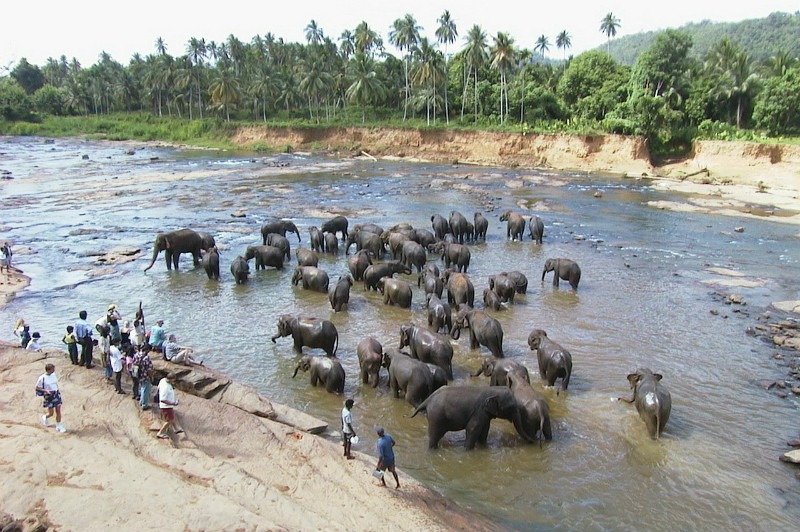 Long term travel in Sri Lanka
