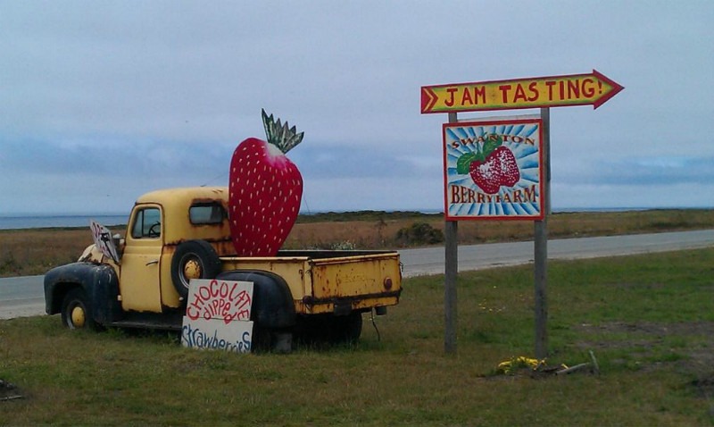 Swanton Berry Farm - Secret spots in Santa Cruz