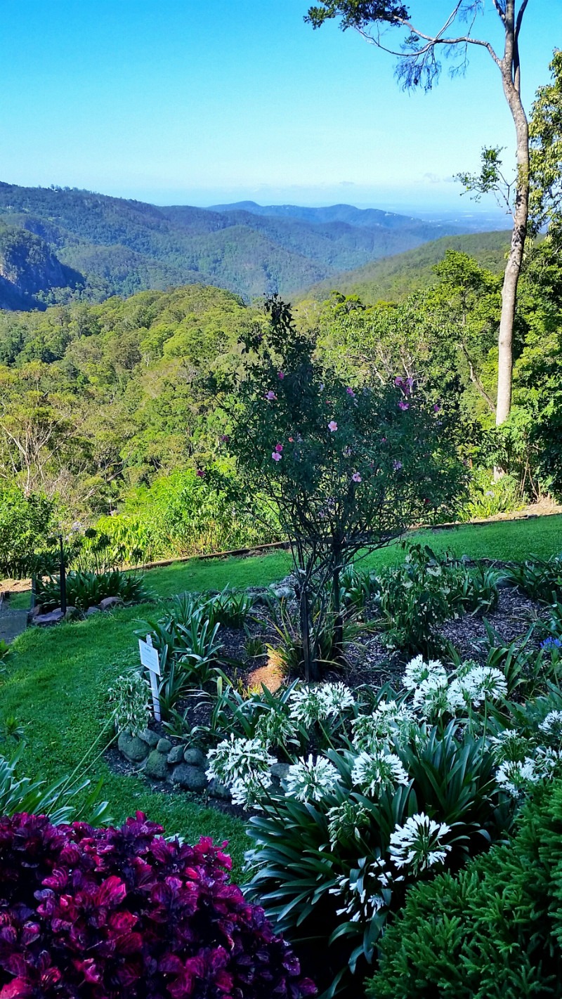 Mount Tamborine - Best things to do on the Gold Coast