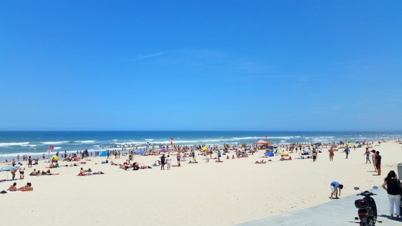 Surfers Paradise - Best things to do on the Gold Coast