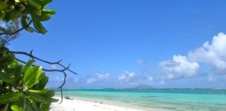 Beautiful beach - Mauritius travel tips