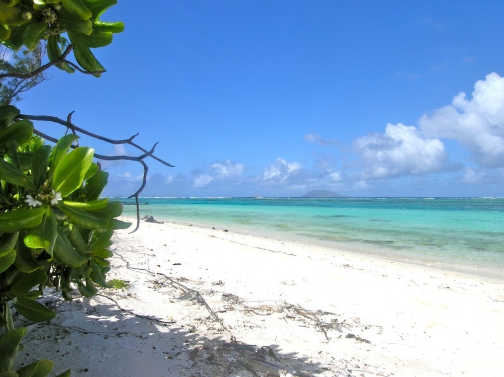 Beautiful beach - Mauritius travel tips