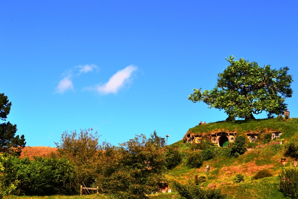 Hobbiton - New Zealand Travel Tips