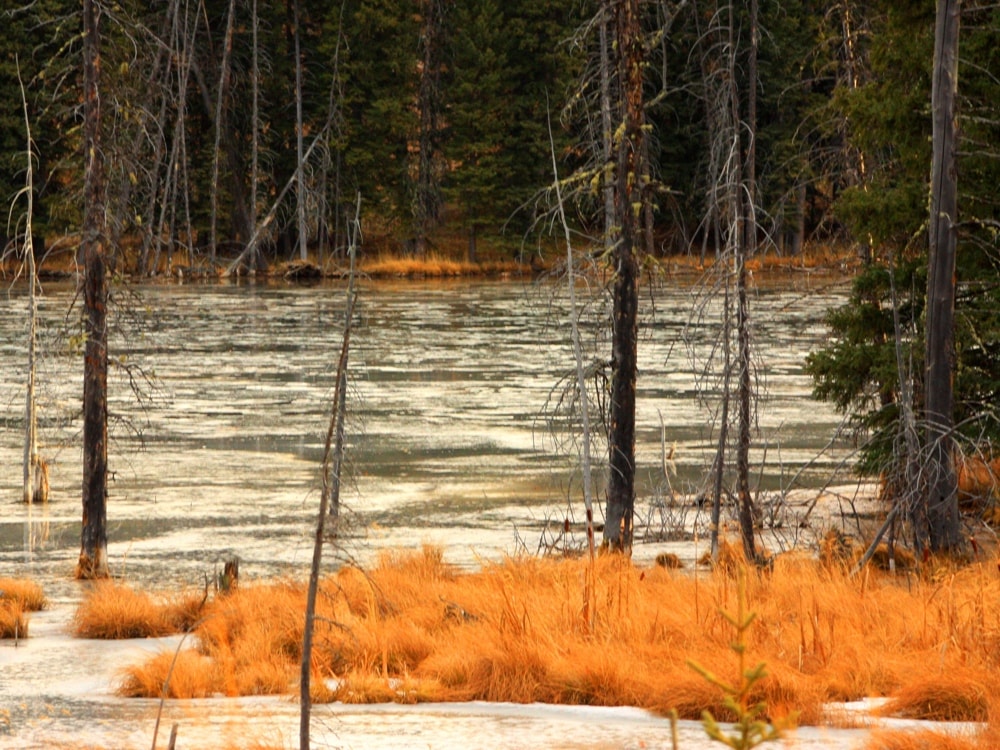 Alberta travel tips 1