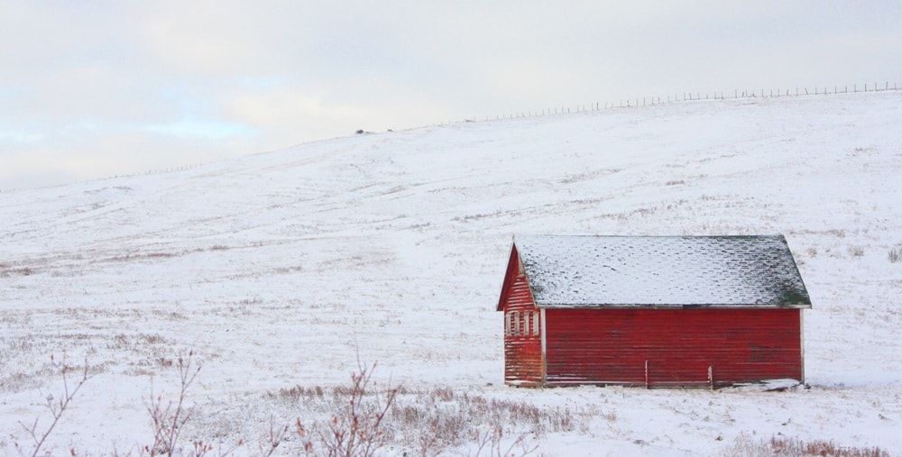 Alberta travel tips 9